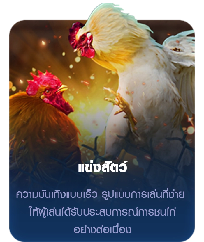 แข่งสัตว์