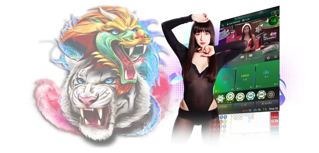 เสือมังกรค่าย BIG GAMING/08.04.24/นางแบบ/royal558